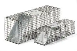 Economy Live Trap 1