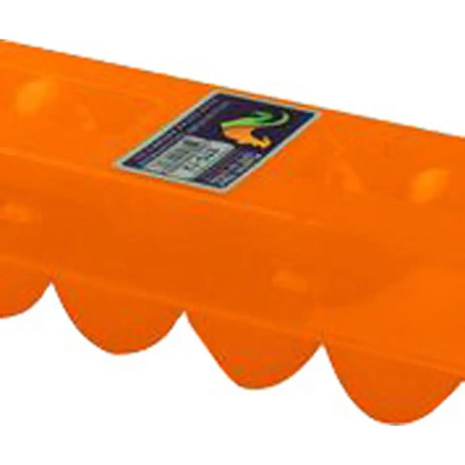 Egg Carton Plastic 1