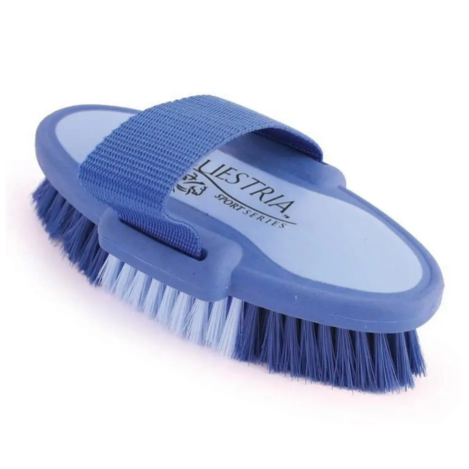 Equestria Sport Oval Body Brush 1