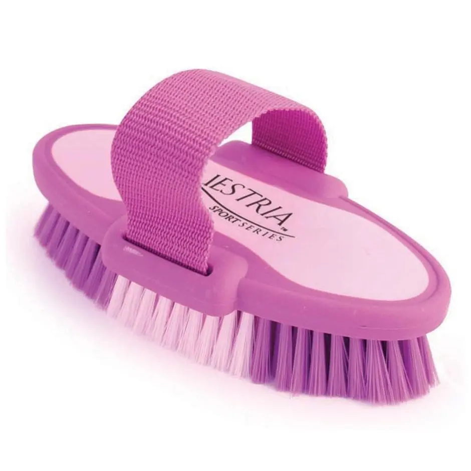 Equestria Sport Oval Body Brush 1