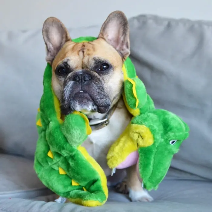 Outward Hound Squeaker Matz™ Gator Xl 2