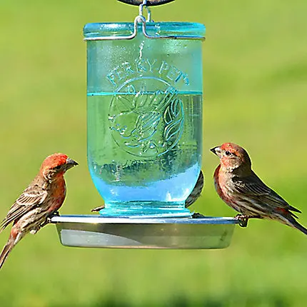 Perky-Pet® Mason Jar Wild Bird Waterer - 32 Oz Water Capacity 1