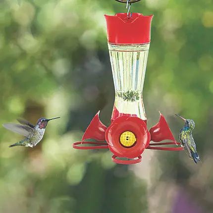 Perky-Pet® Pinch-Waist Glass Hummingbird Feeder - 8 Oz Nectar Capacity 1