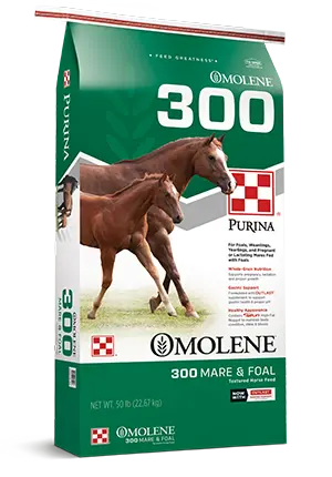 Purina® Omolene #300® Growth Horse Feed 1