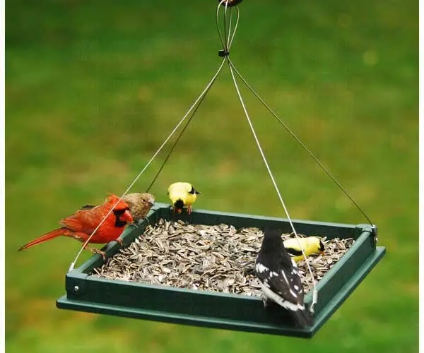 Songbird Essentials Hanging Platform Feeder 1