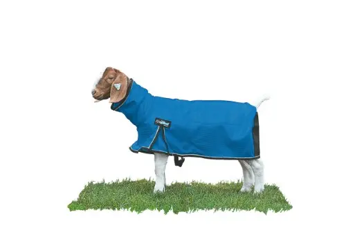 Weaver Leather Procool™ Goat Blanket With Reflective Piping 1