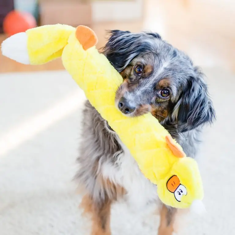 Zippypaws Jigglerz® - Duck 1