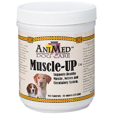 Animed Muscle-Up™ 1
