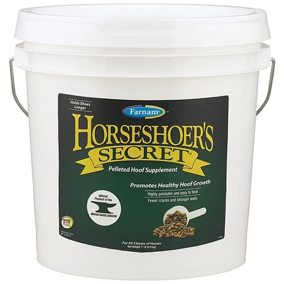 Farnam Horseshoer's Secret 1