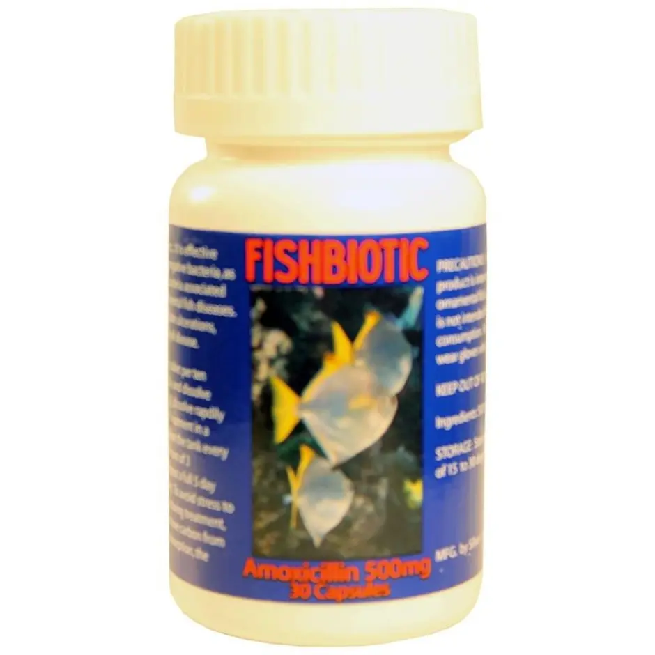 Fishbiotic Amoxicillin Capsules 1