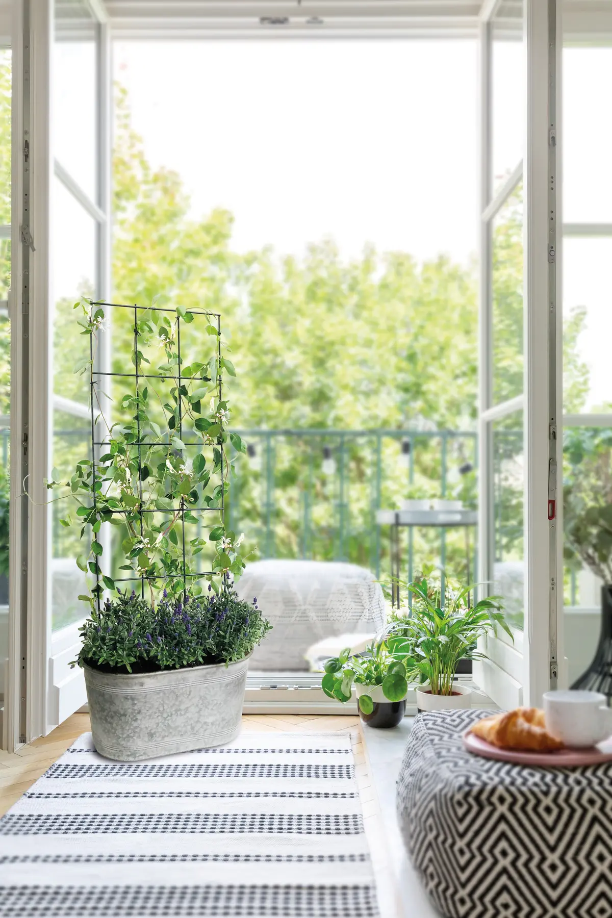 Trellis Vario Rectangle M 2