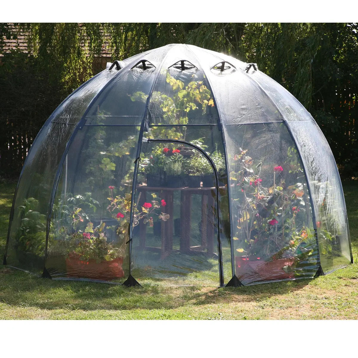 Large Sunbubble Greenhouse 1