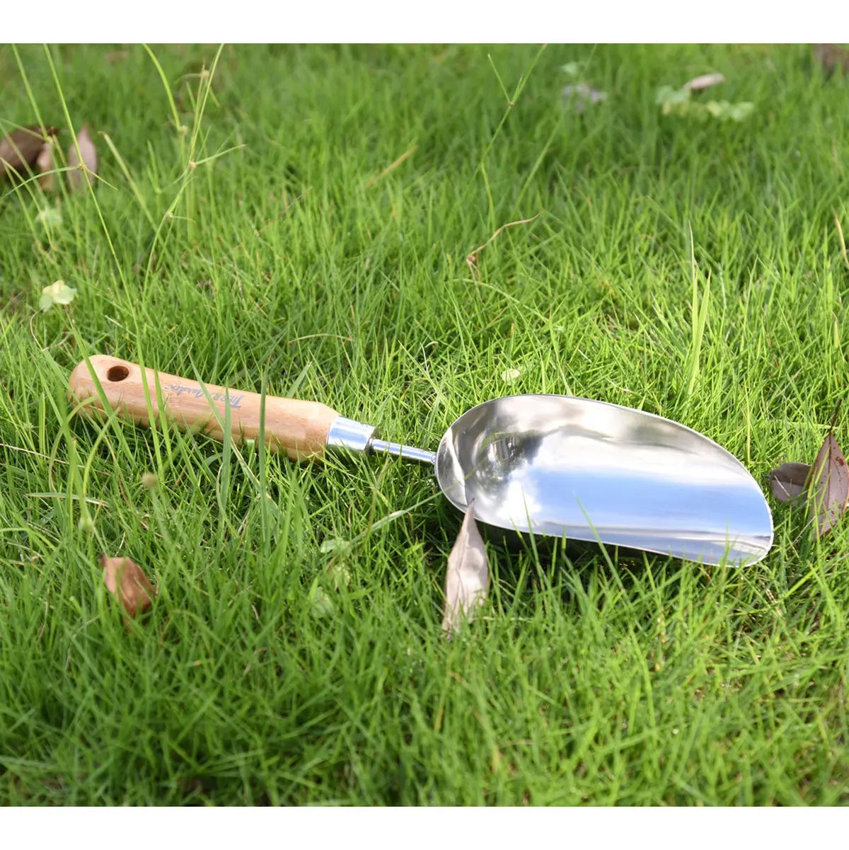 Stainless Steel Scoop With Bamboo Handle 2