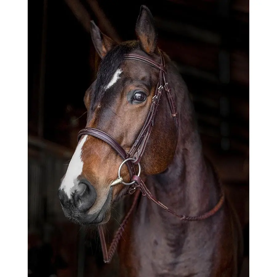 Edgewood 1" Fancy-Stitch Raised Hunter Bridle 1