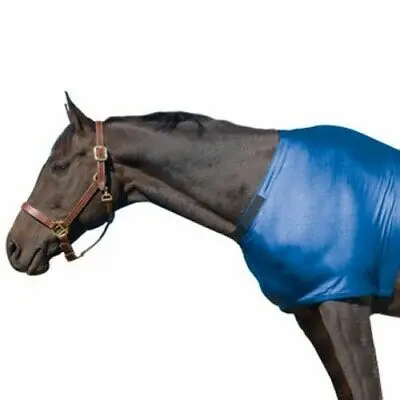 Robinhood Lady Marrion Lycra Shoulder Guard 1