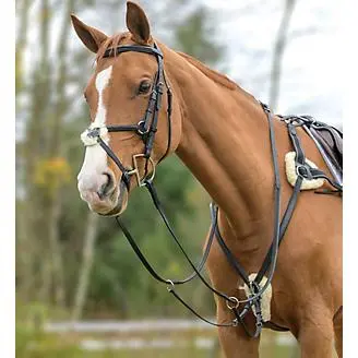 Shires 5-Point Padded Breastplate 1