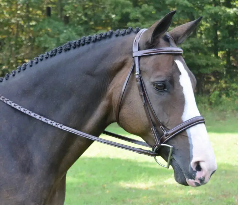 Kl Select Red Barn Spirit Hunter Bridle 1