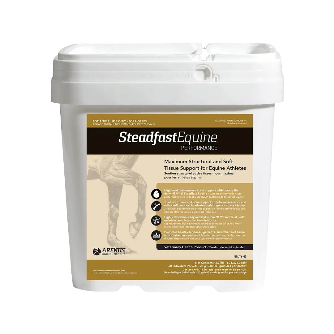 Steadfast Equine Performance 1