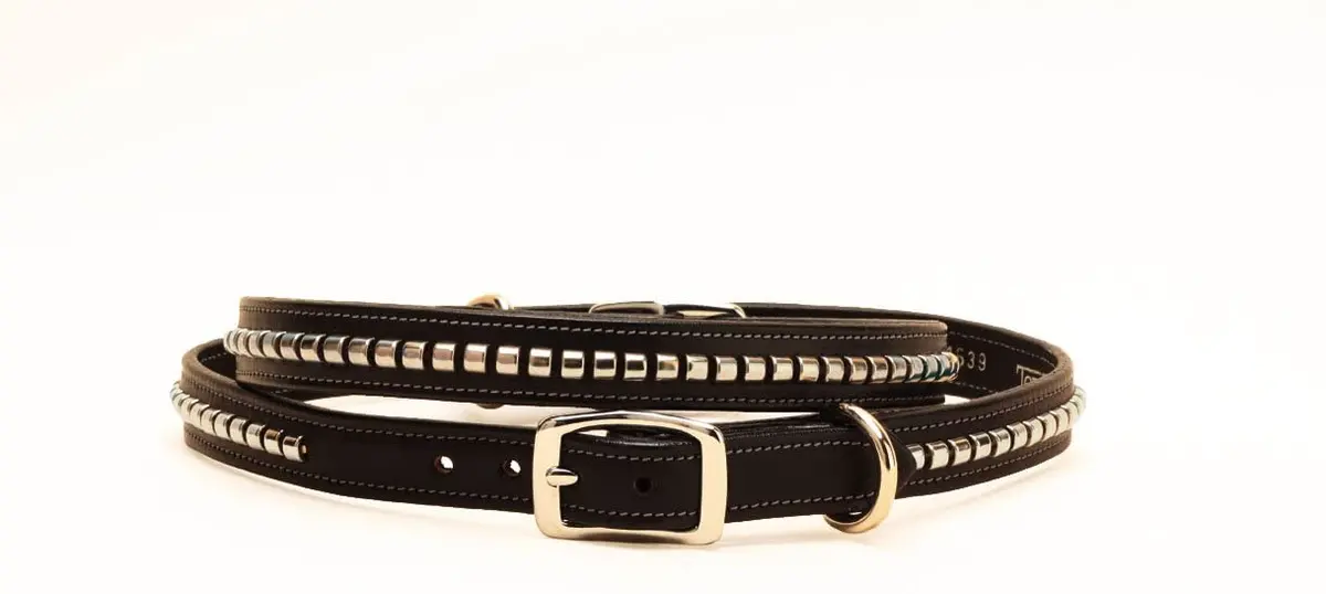 Tory Leather Clincher Dog Collar 1