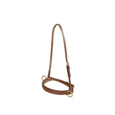 Tory Leather Bridle Leather Lunge Caveson 1