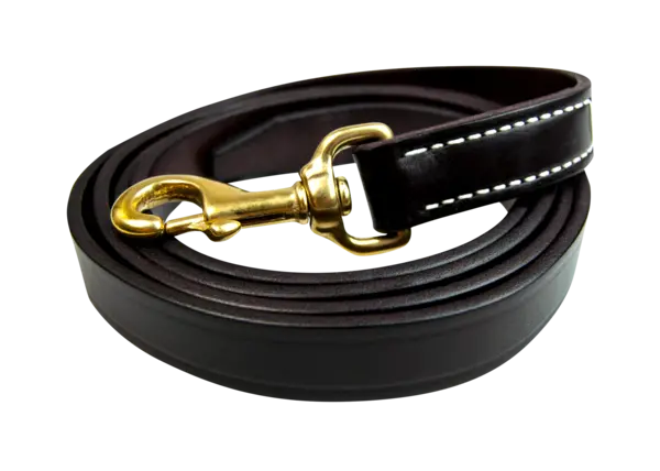 Walsh Leather Lead 1