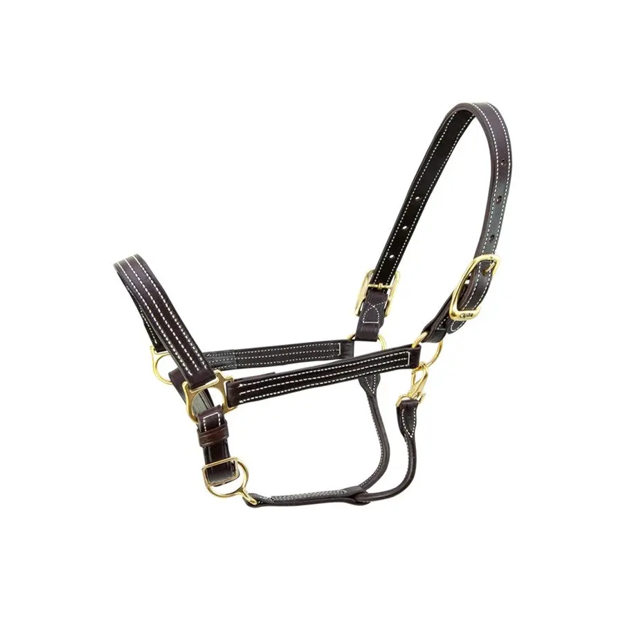 Walsh Kentucky Triple Stitched Leather Halter 1