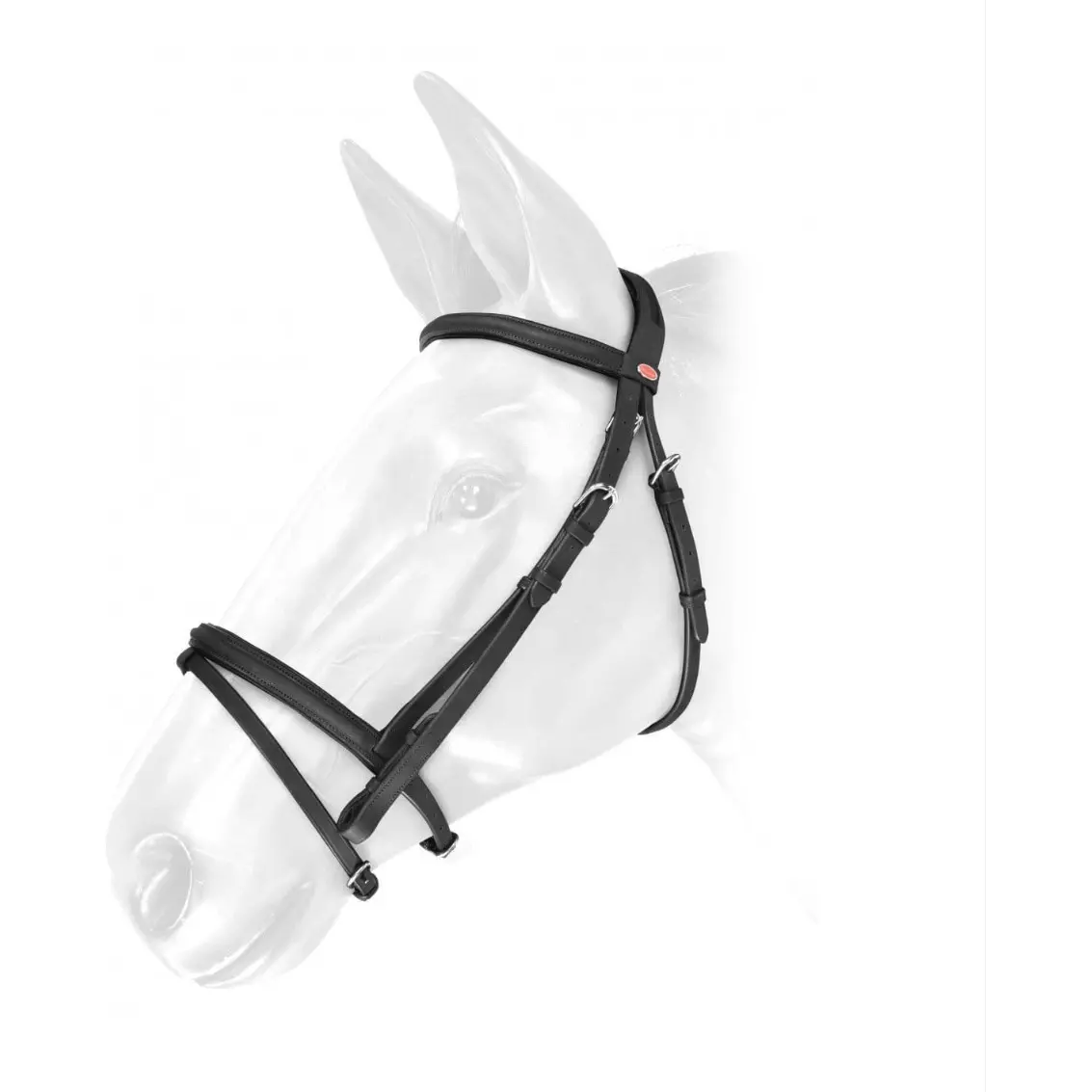Whitaker Flash Bridle - Black 1